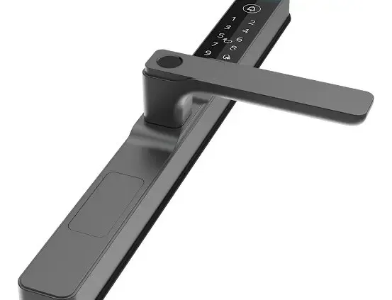 Cerradura Eléctrica Philips Ddl611 Negra Black. Angosta 5hbs 3